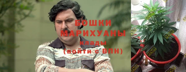 стаф Абинск