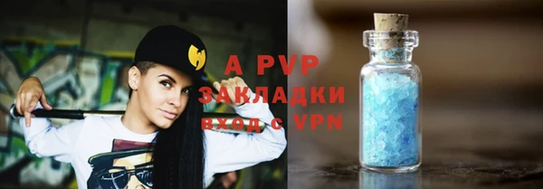 стаф Абинск