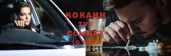 стаф Абинск
