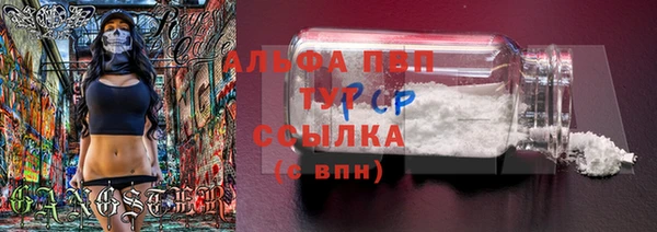 стаф Абинск