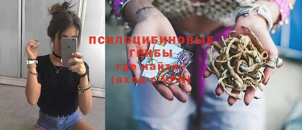 шишки Абдулино