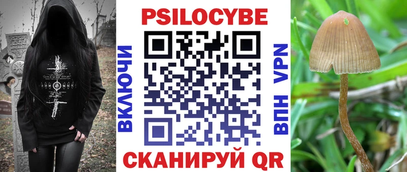 Псилоцибиновые грибы Cubensis  гидра ССЫЛКА  Щёлково 
